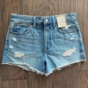 Madewell Relaxed Denim Shorts in Renfield Wash: Destructed Edition